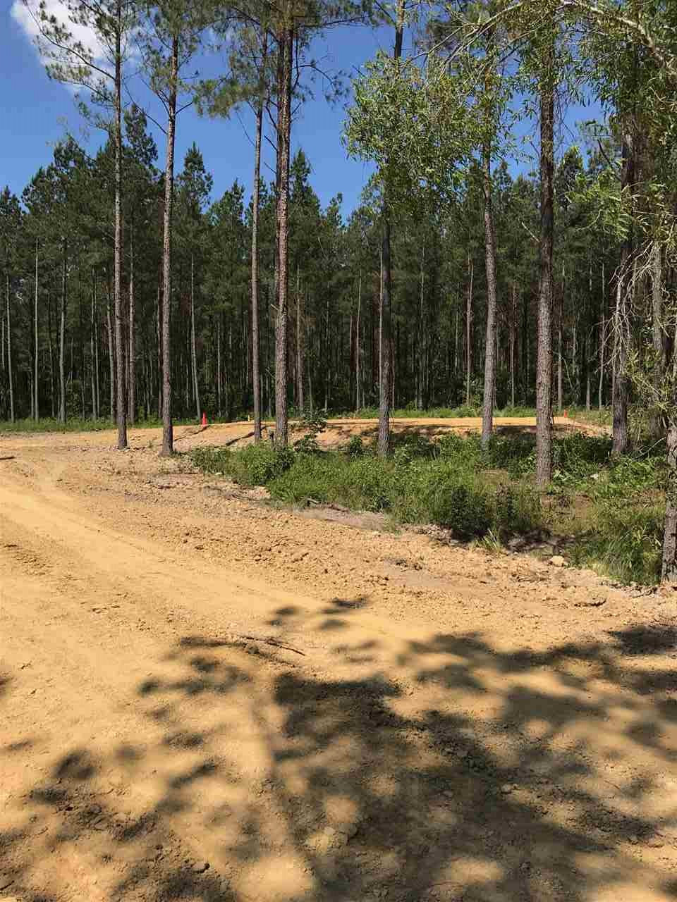 171 Stump Ridge Road Brandon, MS 39047 - Photo 2 of 5 Photo 2