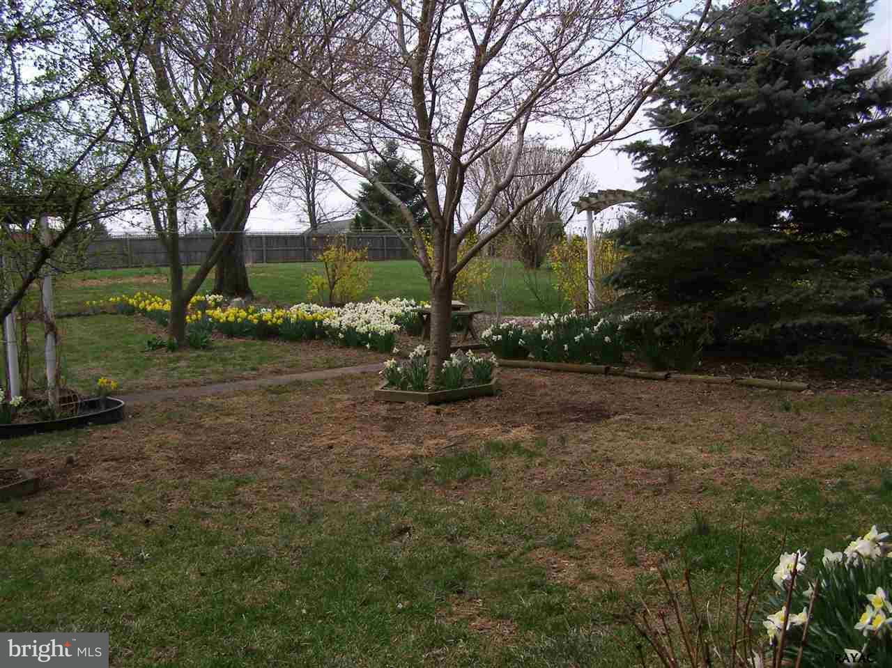 881 Pine Grove Road Hanover, PA 17331 - Photo 10 of 35 a view of a garden with large trees