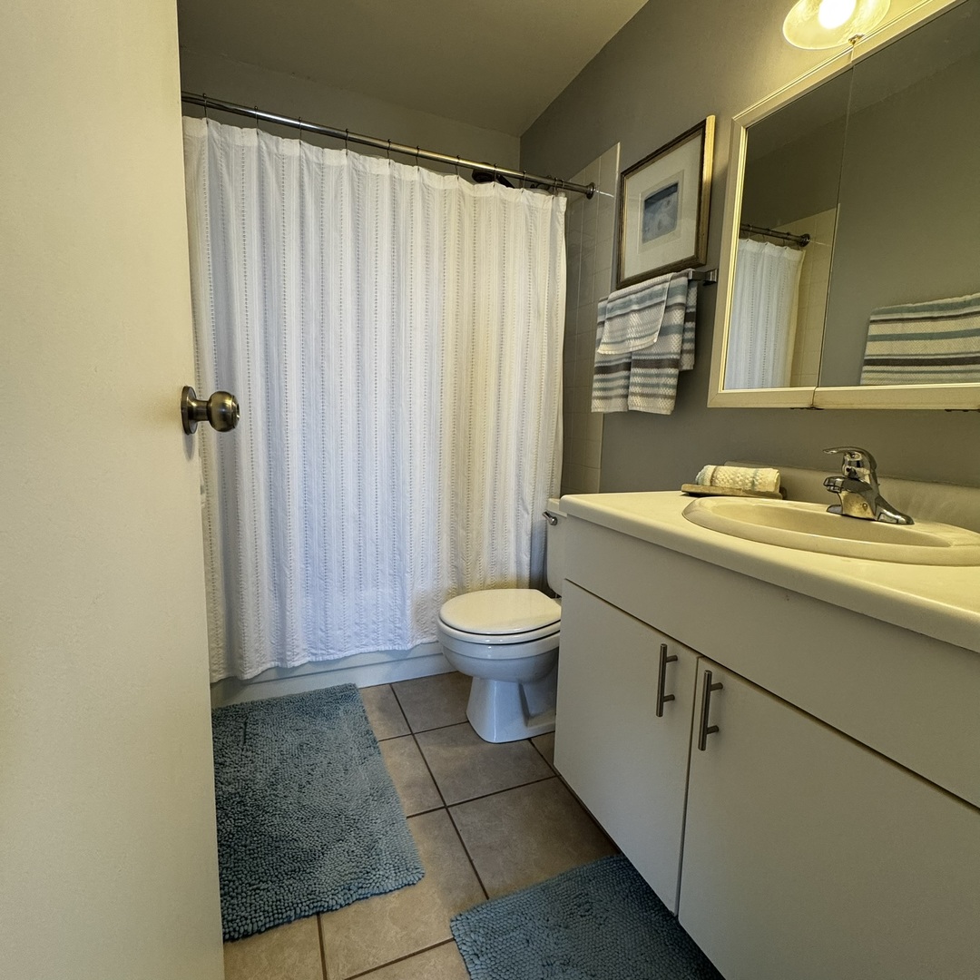 5320 North Sheridan Road, Unit 2001 Chicago, IL 60640 - Photo 10 of 14 a bathroom with a sink a toilet and shower