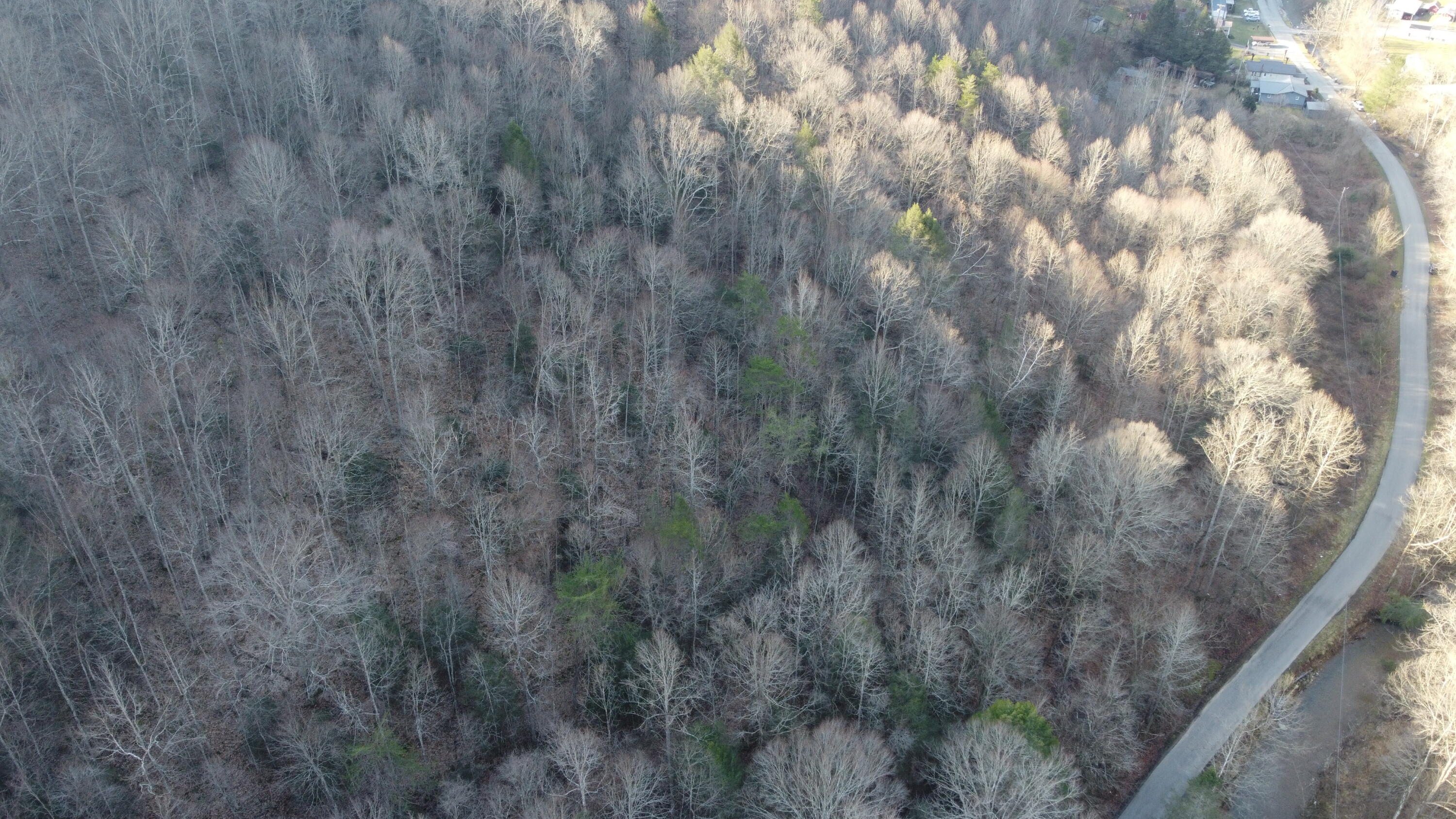 500 Simms Fork Road Arjay, KY 40902 - Photo 3 of 12 DJI_0562