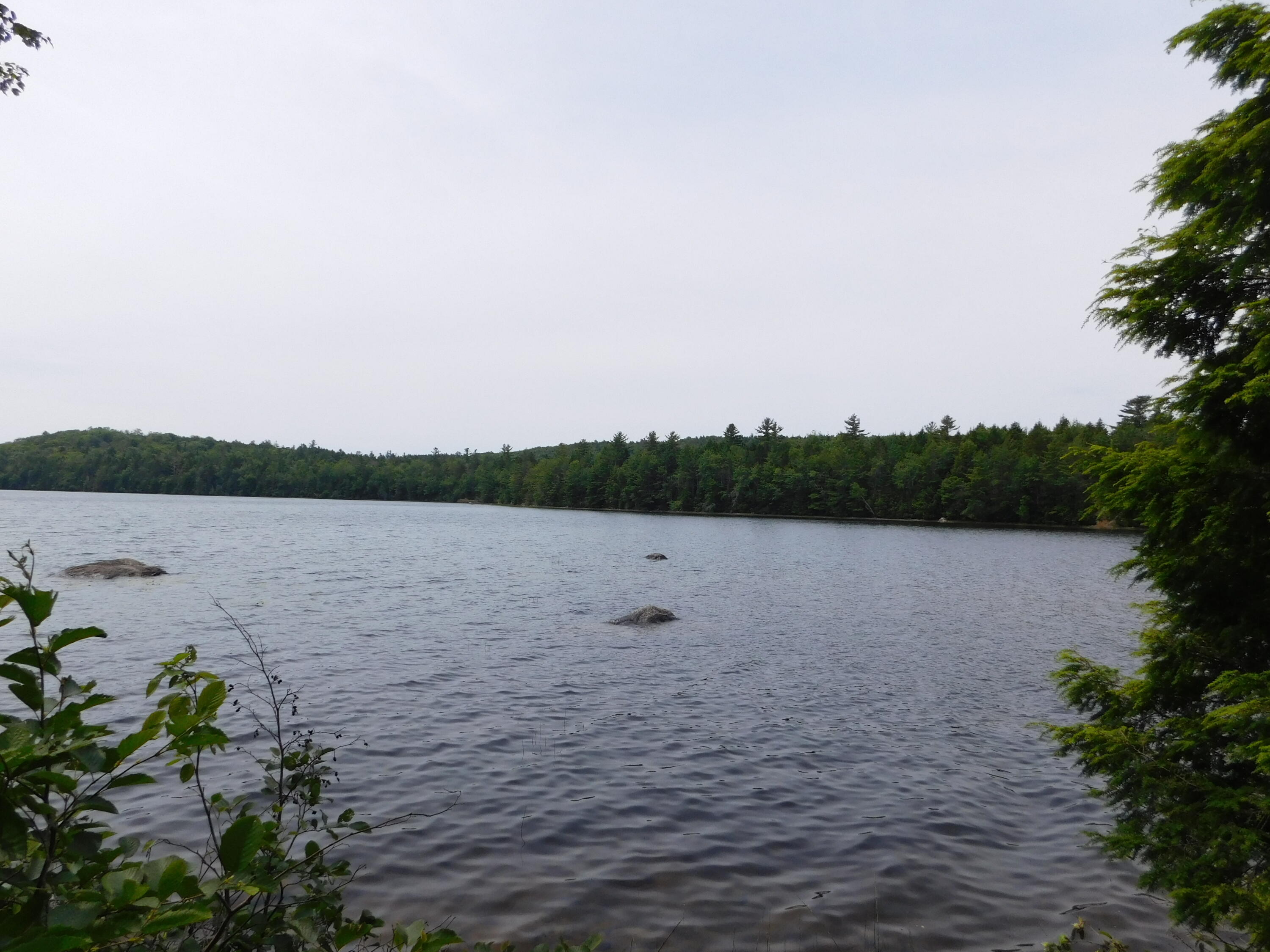 Lot 10 Lot Road Aurora, ME 04408 - Photo 7 of 53 DSCN8714