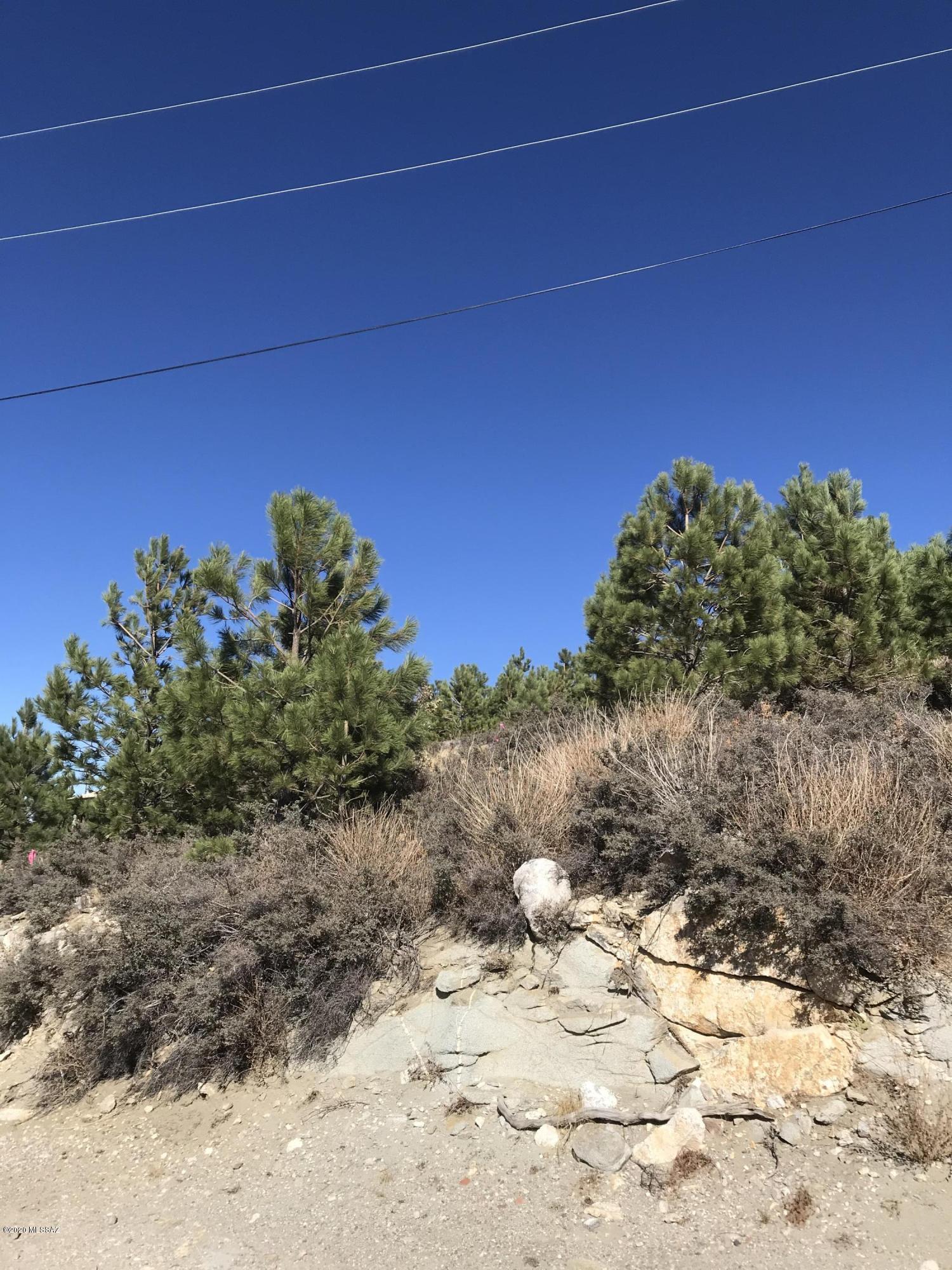 12986 Yuma Road, Unit 4 5 Mount Lemmon, AZ 85619 - Photo 8 of 11