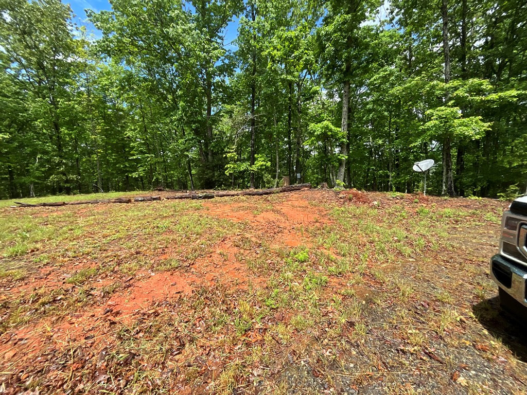 132 Duncan Road Murphy, NC 28906 - Photo 4 of 14 Gallery Image 4
