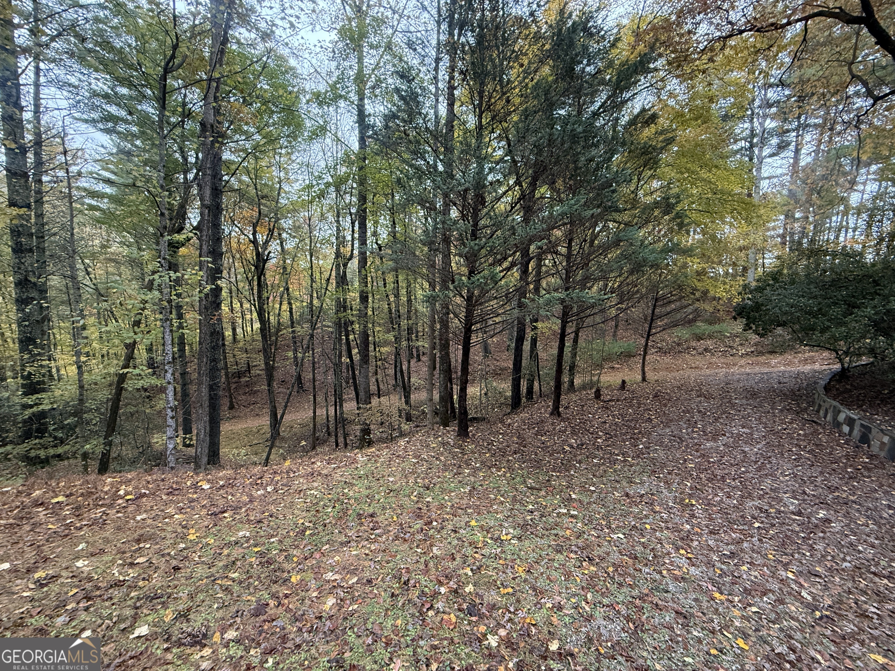 3197 Bridge Creek Road Tiger, GA 30576 - Photo 27 of 30 a backyard of a house with lots of green space