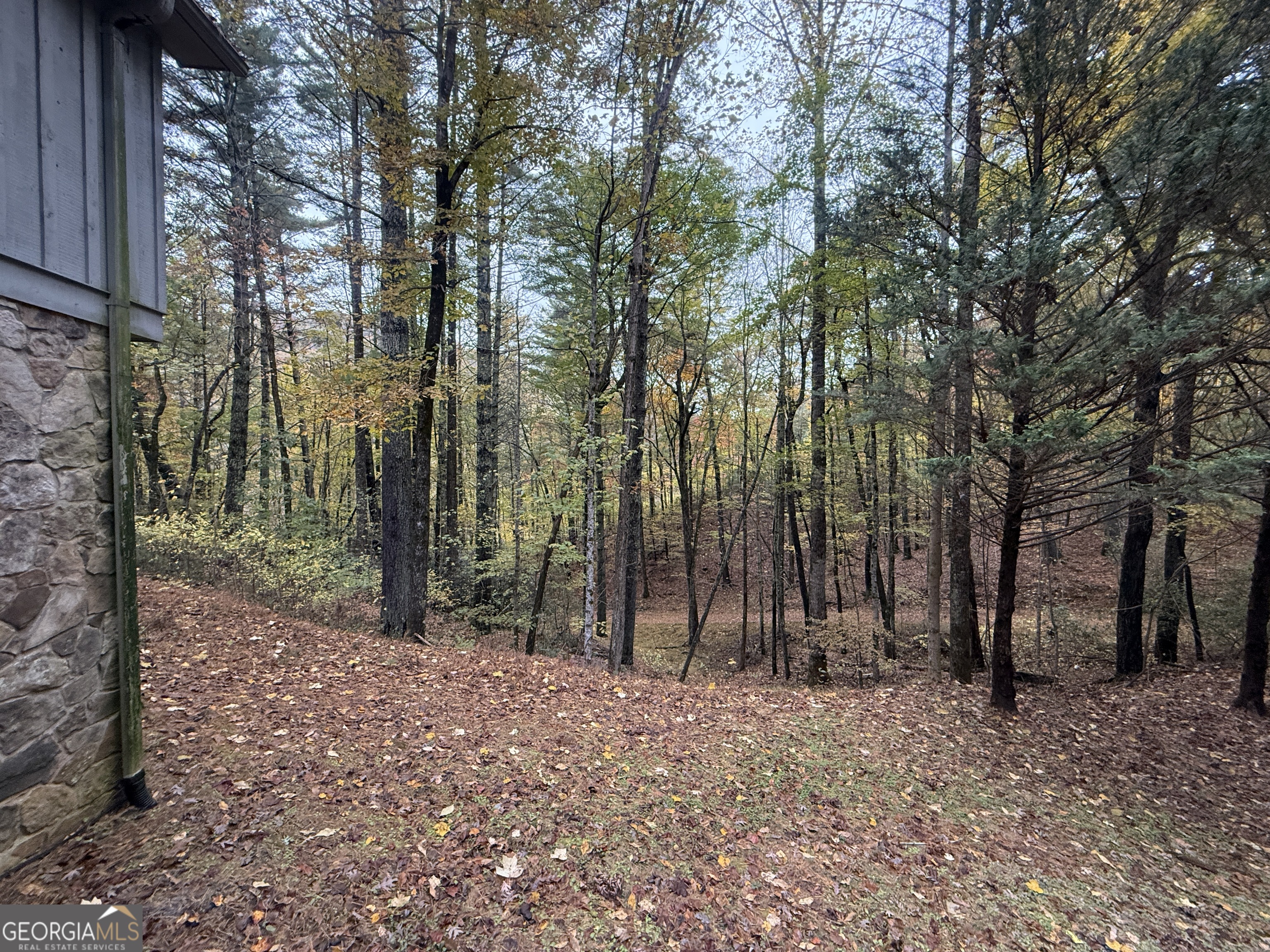 3197 Bridge Creek Road Tiger, GA 30576 - Photo 28 of 30 a view of outdoor space and tree