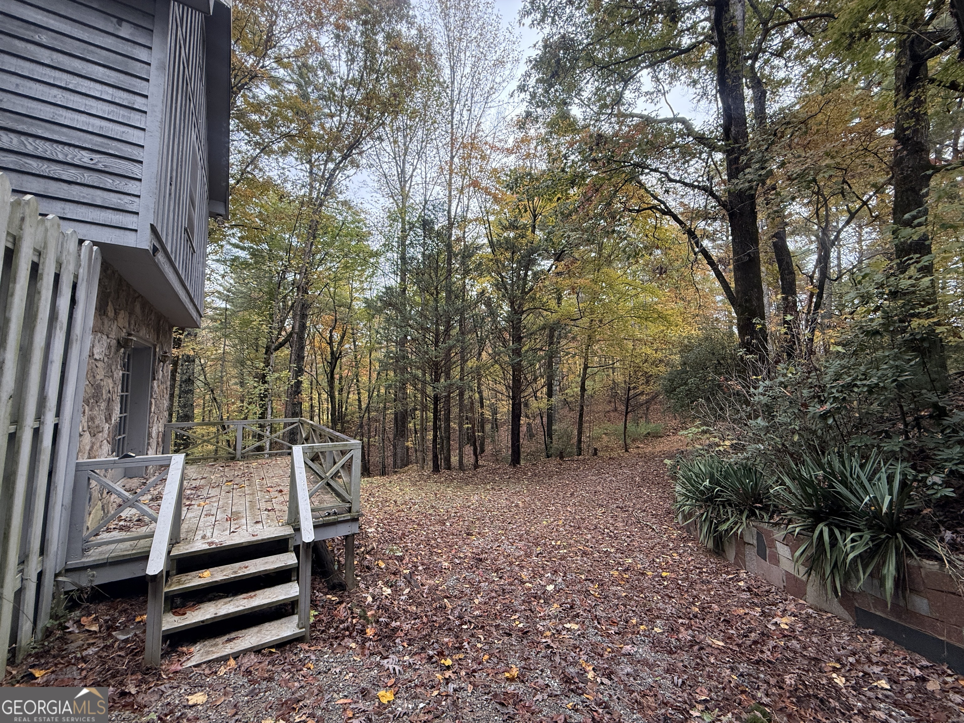 3197 Bridge Creek Road Tiger, GA 30576 - Photo 5 of 30 a view of a park with large trees