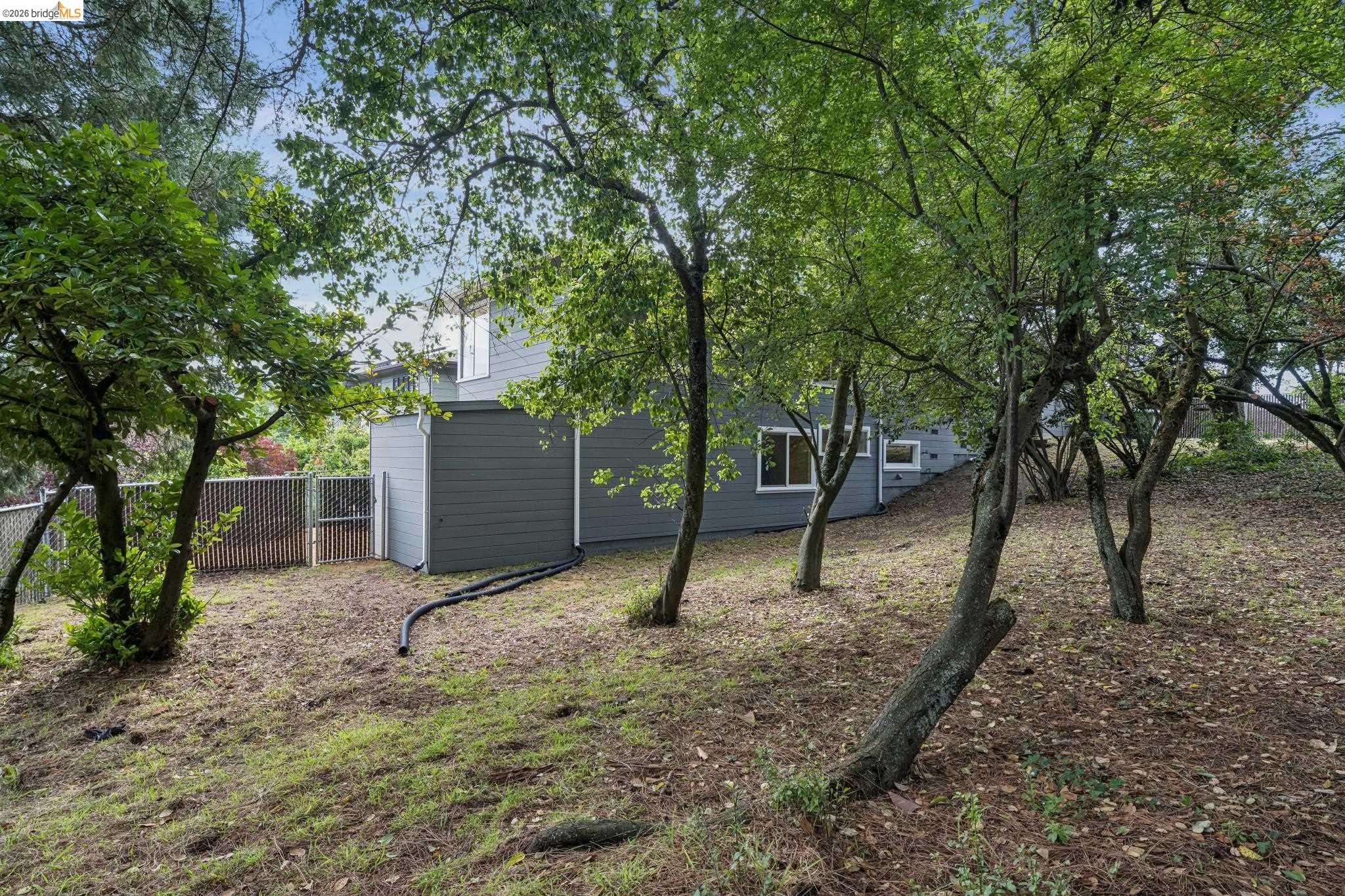 Summit Road Berkeley, CA 94708 - Photo 6 of 13