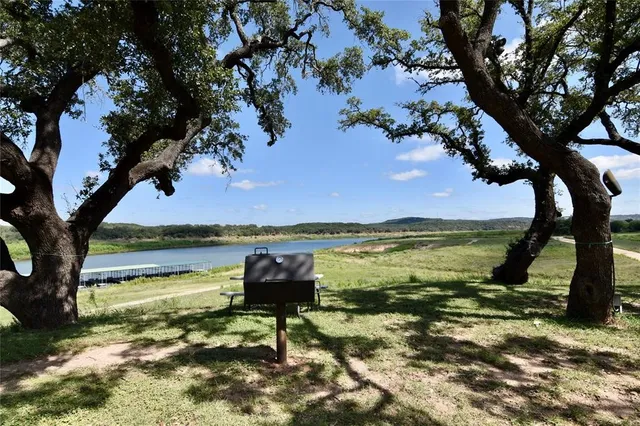 a view of a lake with a tree in front of it
