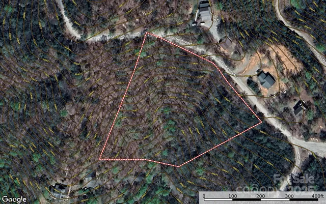 a view of plant in a yard