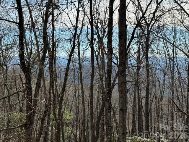 $44,900 | Tbd Bobcat Mountain Road, Unit 36, Purlear, NC 28665