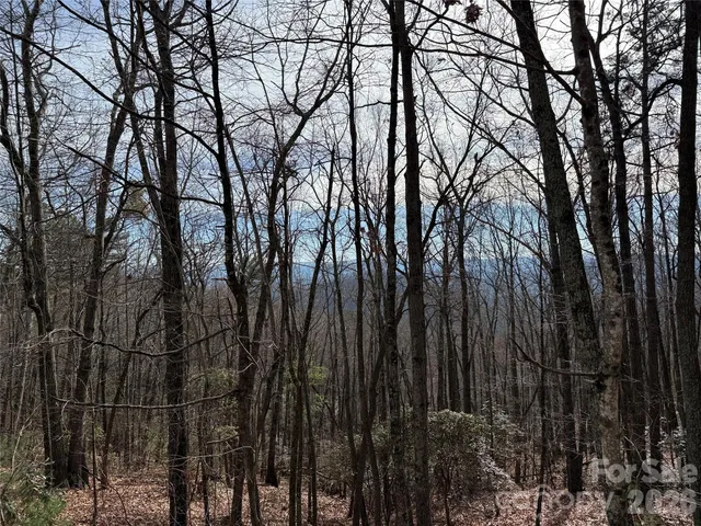 $44,900 | Tbd Bobcat Mountain Road, Unit 36, Purlear, NC 28665