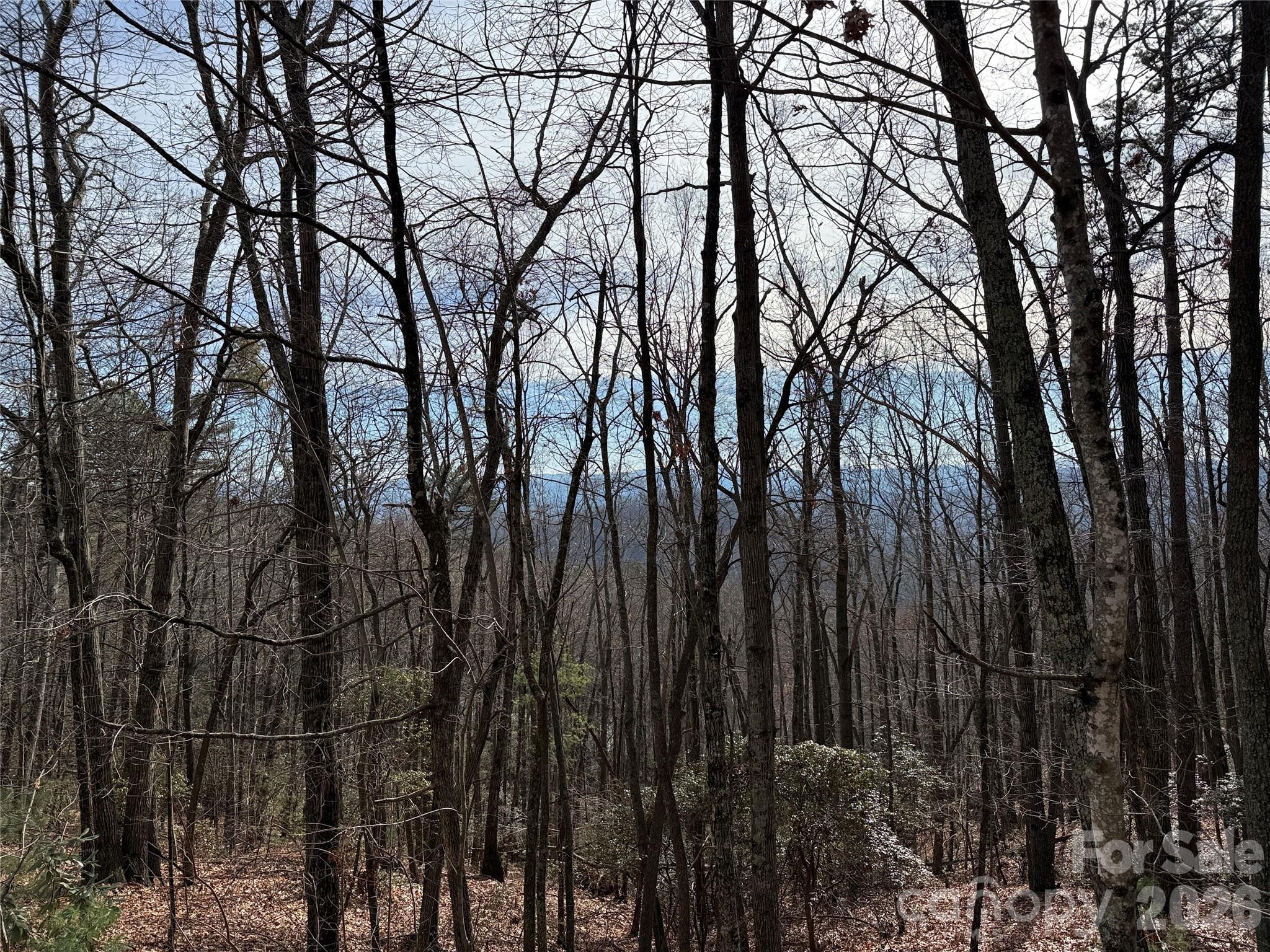 Tbd Bobcat Mountain Road, Unit 36 Purlear, NC 28665 - Photo 5 of 35