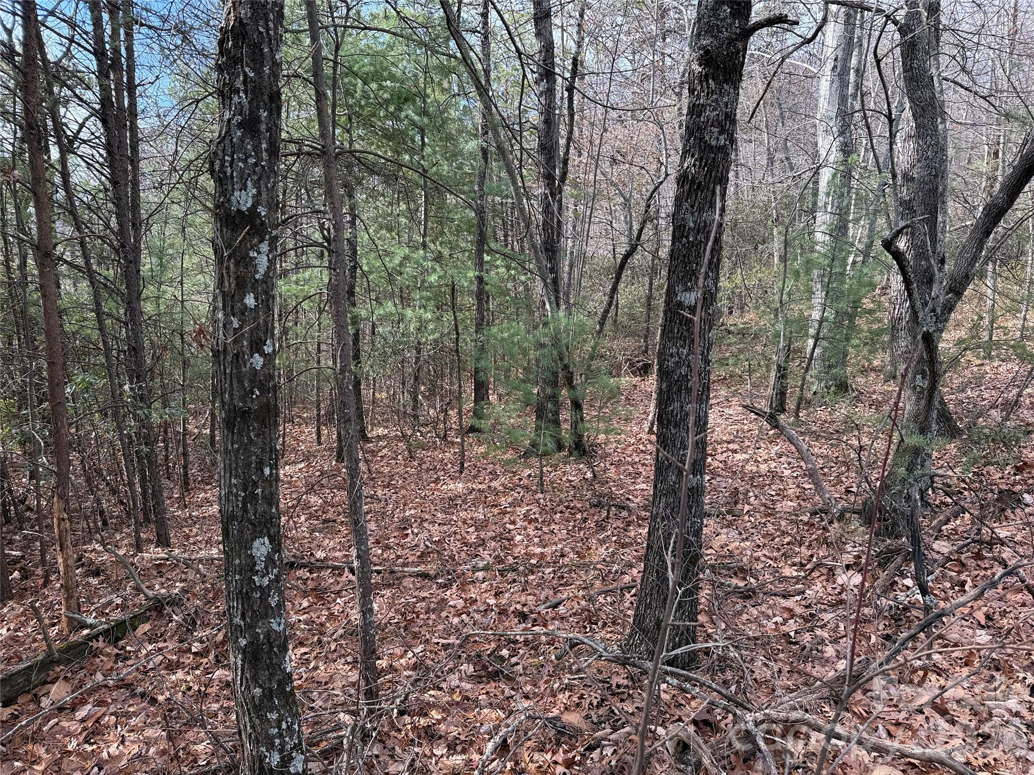 Tbd Bobcat Mountain Road, Unit 36 Purlear, NC 28665 - Photo 6 of 35