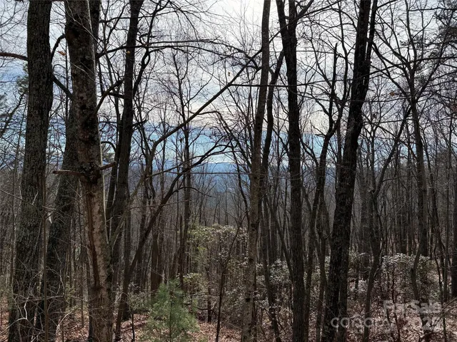 a outside view of a yard