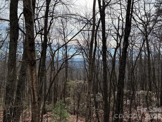 $44,900 | Tbd Bobcat Mountain Road, Unit 36, Purlear, NC 28665