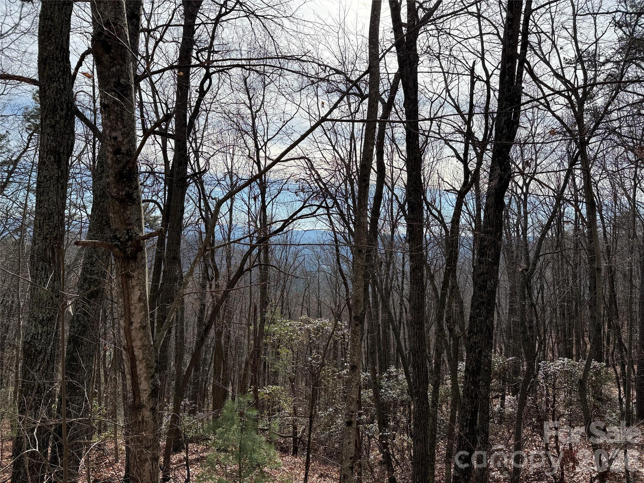 Tbd Bobcat Mountain Road, Unit 36 Purlear, NC 28665 - Photo 7 of 35