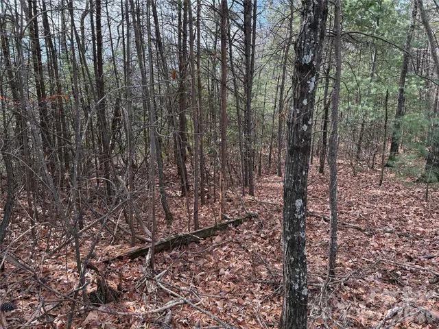 $44,900 | Tbd Bobcat Mountain Road, Unit 36, Purlear, NC 28665