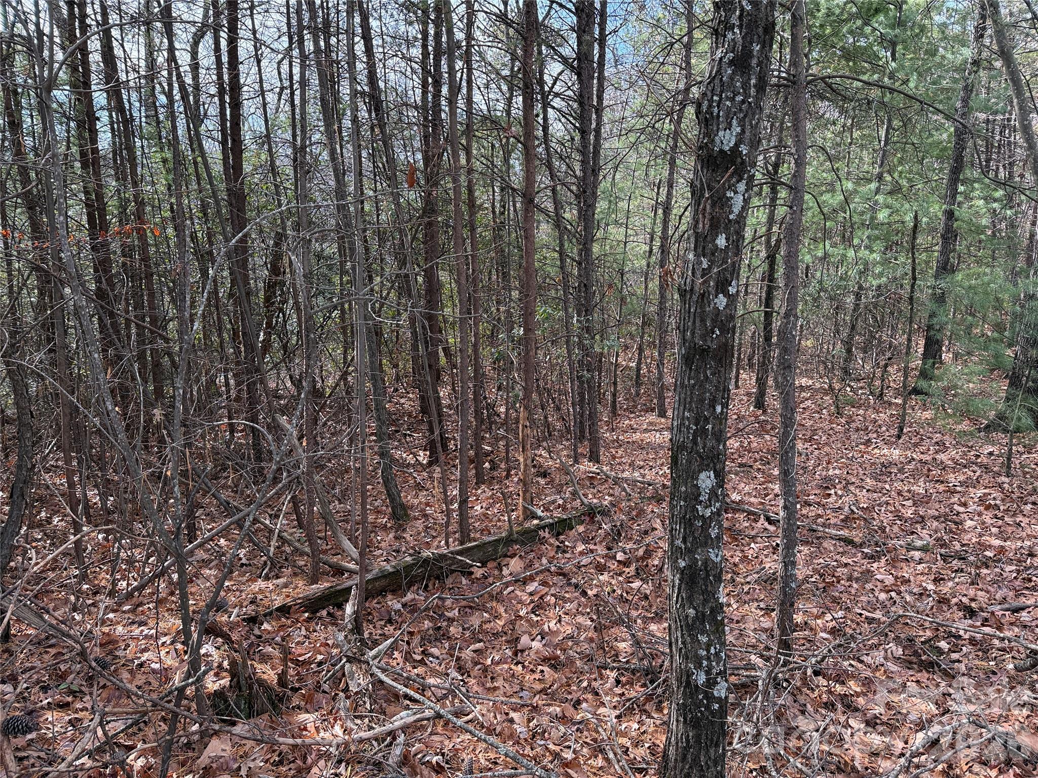 Tbd Bobcat Mountain Road, Unit 36 Purlear, NC 28665 - Photo 8 of 35