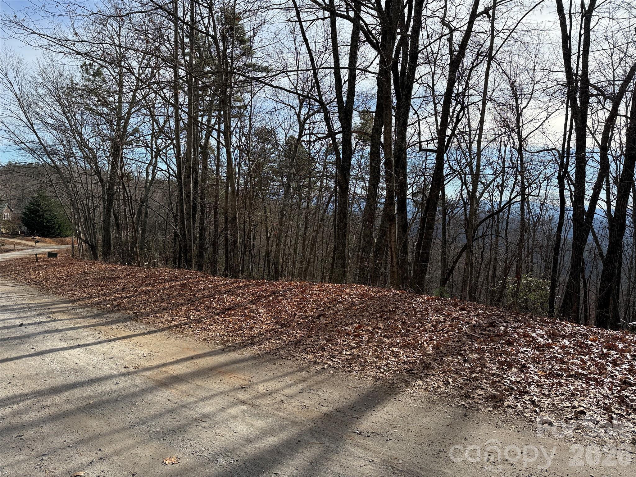 Tbd Bobcat Mountain Road, Unit 36 Purlear, NC 28665 - Photo 10 of 35