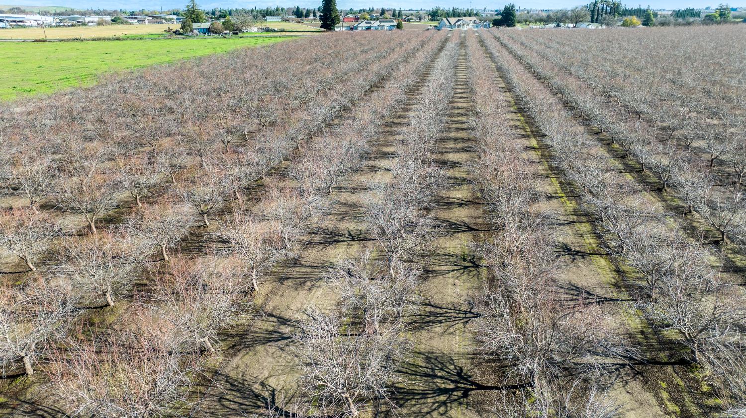 11097 South Union Road Manteca, CA 95336 - Photo 12 of 22 a view of outdoor space