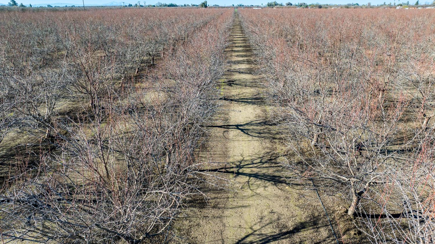 11097 South Union Road Manteca, CA 95336 - Photo 13 of 22