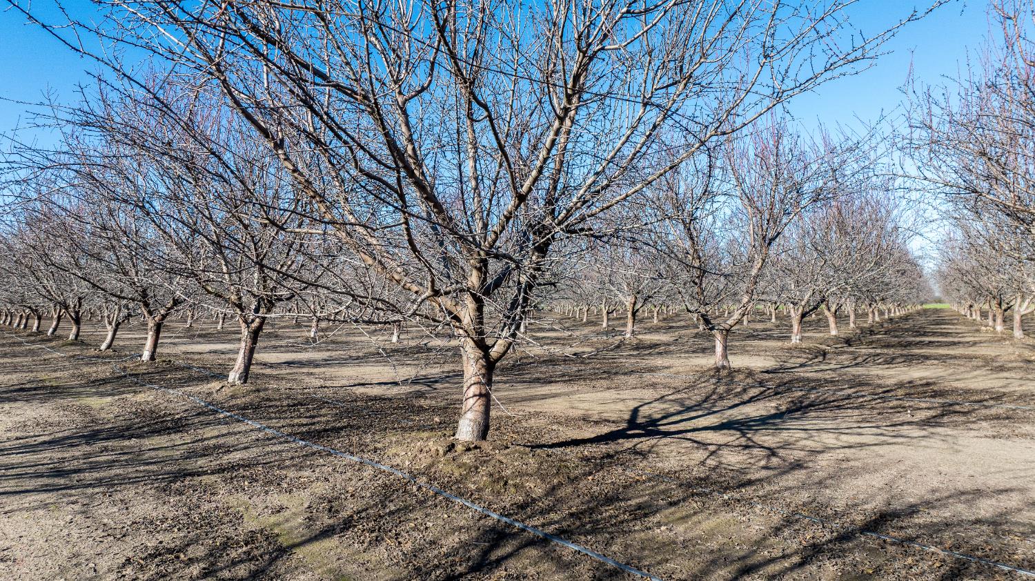 11097 South Union Road Manteca, CA 95336 - Photo 15 of 22 a view of yard covered with snow in front of house