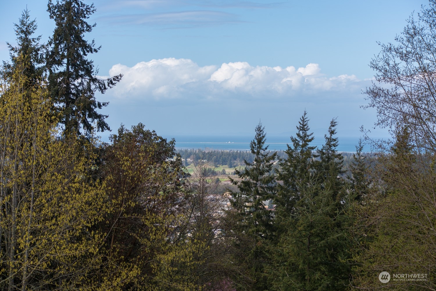 9999 Fox Hollow Road Sequim, WA 98382 - Photo 10 of 22 Gallery Image 10