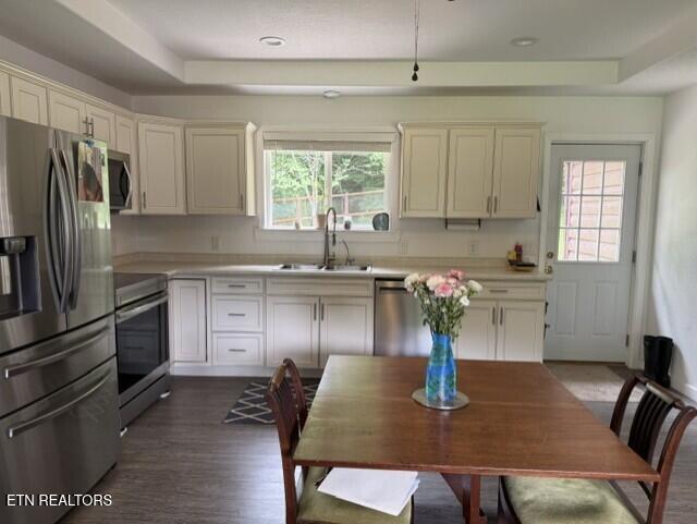 2410 Perilla Road Cosby, TN 37722 - Photo 13 of 50 PERILLA KITCHEN 2