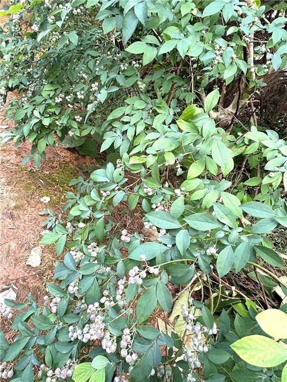 5876 Rue Villa Lane Tucker, GA 30084 - Photo 14 of 15
