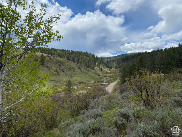 41 Grouse Loop Road, Unit 41 Freedom, WY 83120 - Photo 22 of 33 View of mountain background featuring a heavily wooded area