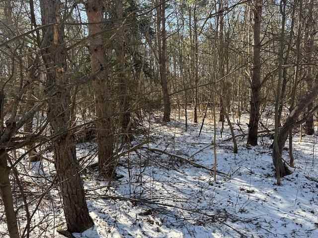 0 North 31 Road Manton, MI 49663 - Photo 12 of 13