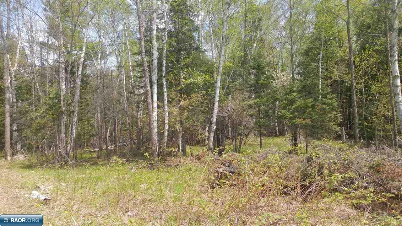 Lot 7 Serenity Point Road Esko, MN 55733 - Photo 10 of 18