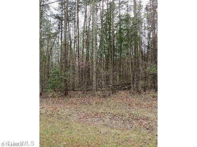 0 Lake Lemar Road Reidsville, NC 27320 - Photo 1 of 1 Land.