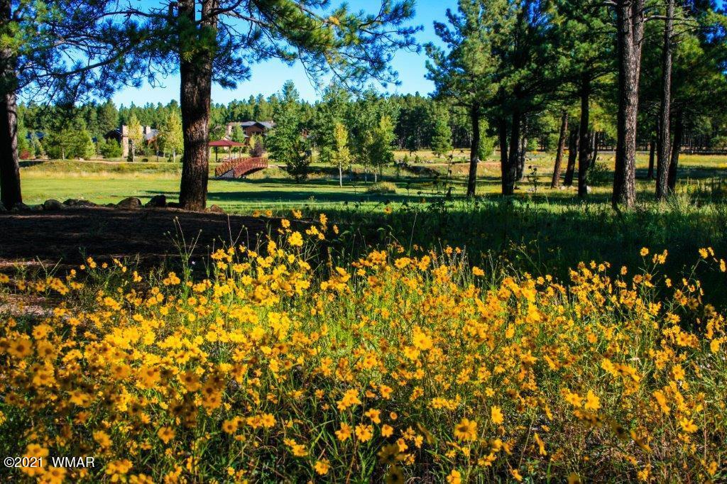 2594 Timber Ridge Lane Pinetop, AZ 85935 - Photo 8 of 9 Gallery Image 8