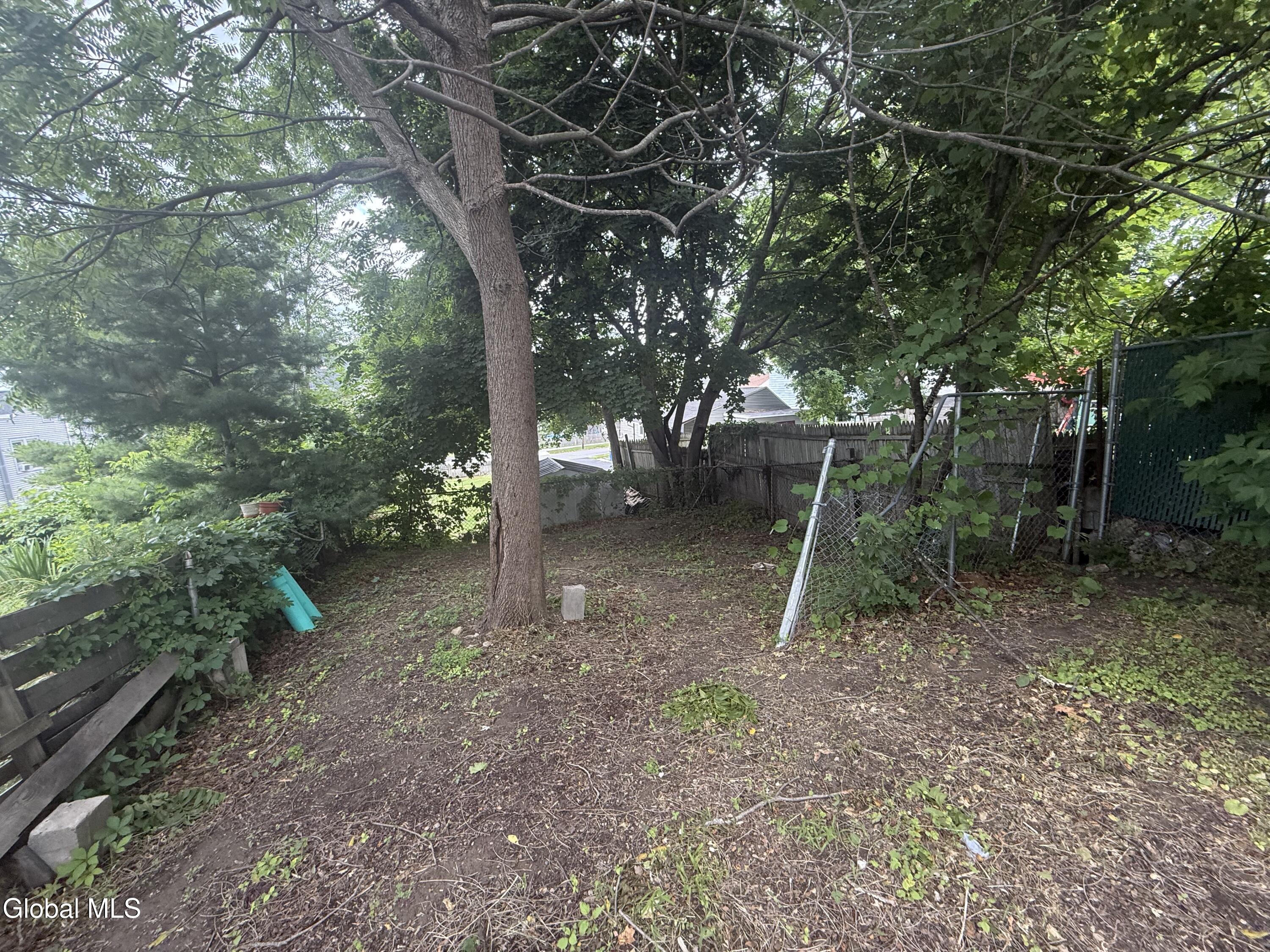 1031 3rd Street Rensselaer, NY 12144 - Photo 20 of 21 IMG_5512