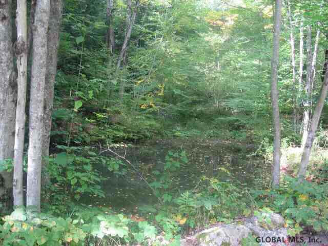 13 Padanarum Road Brant Lake, NY 12815 - Photo 8 of 9 Photo 8