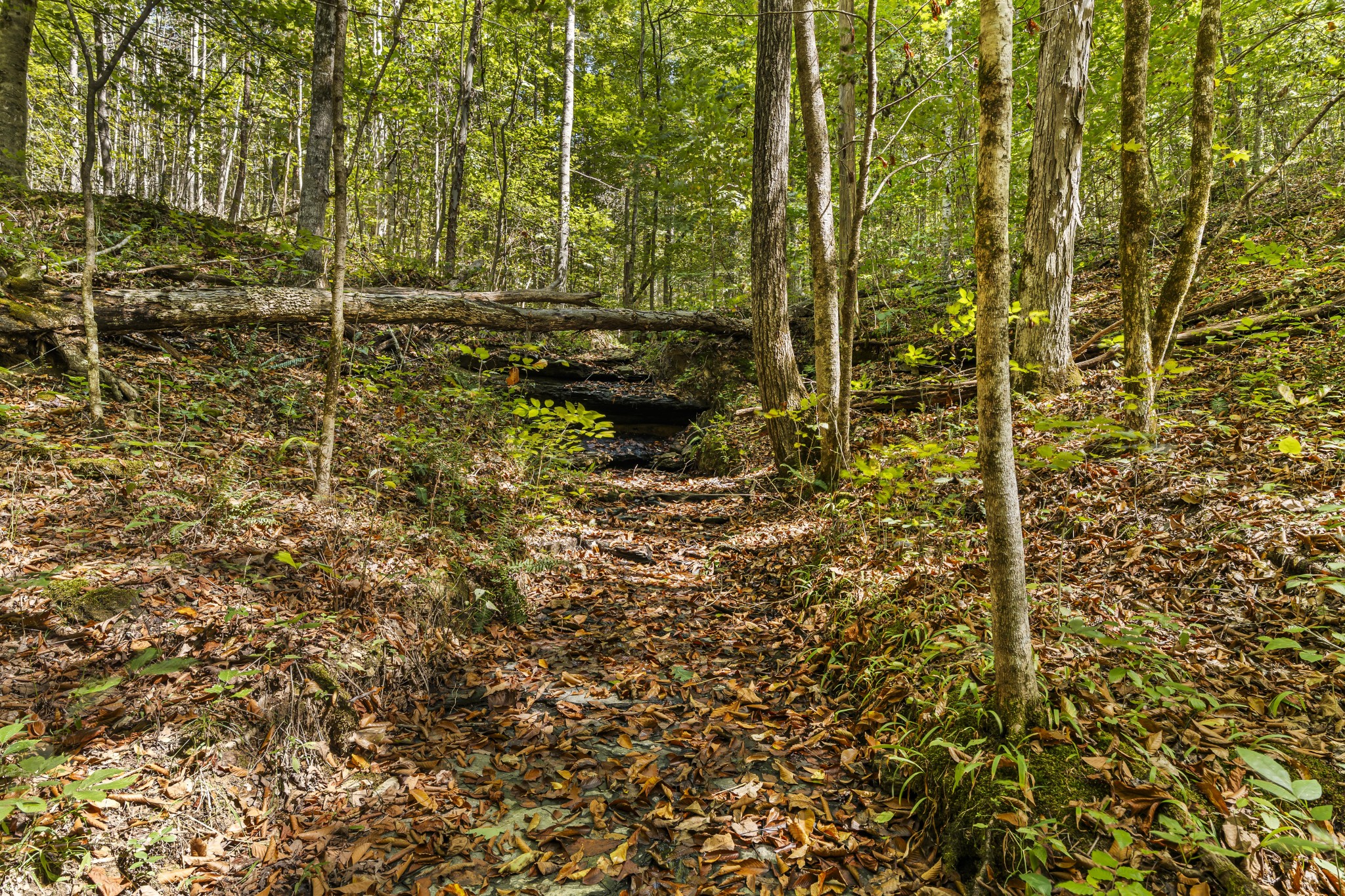 1810 Holland Road Lafayette, TN 37083 - Photo 46 of 53 Gallery Image 46