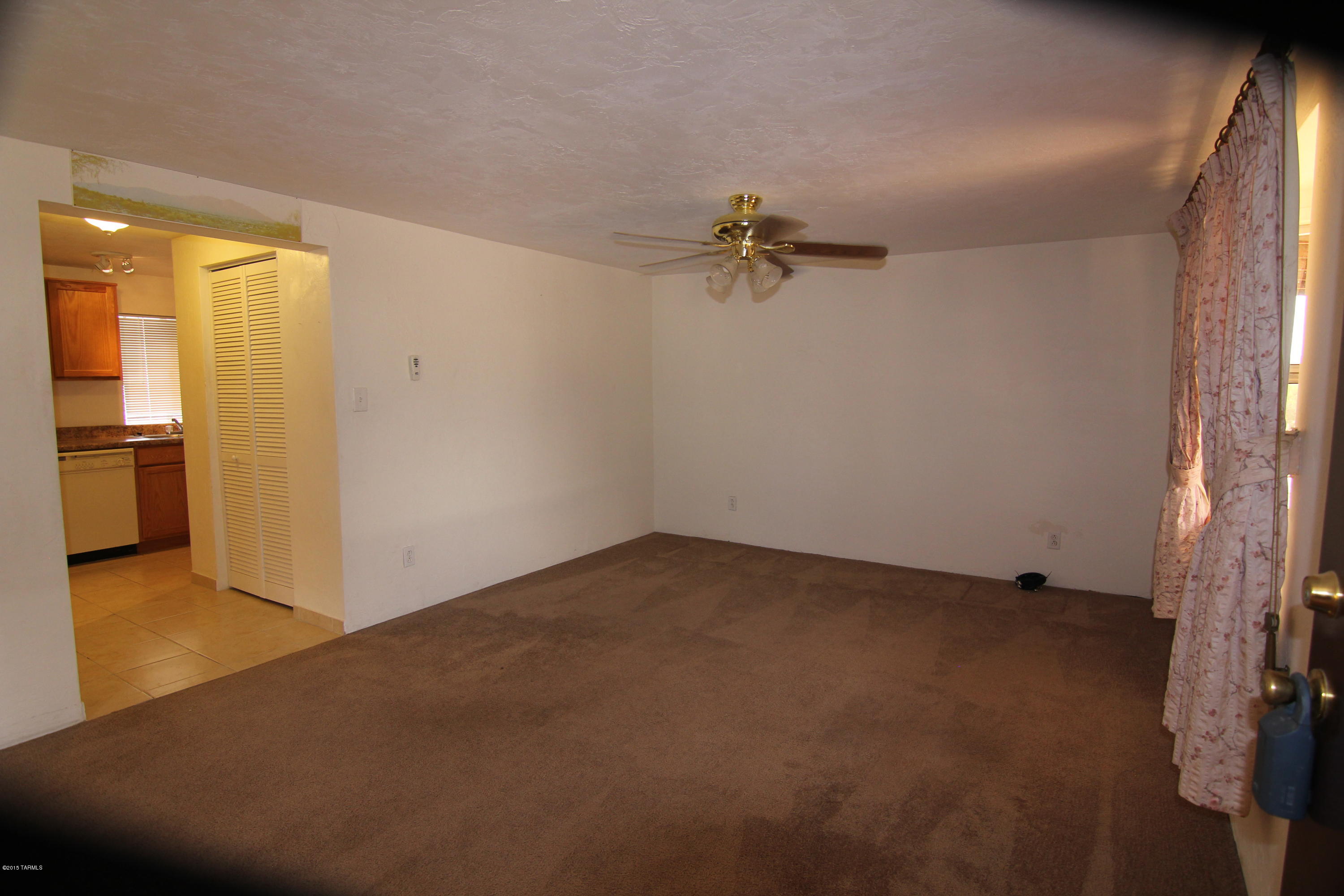6933 West Bopp Road Tucson, AZ 85735 - Photo 7 of 21
