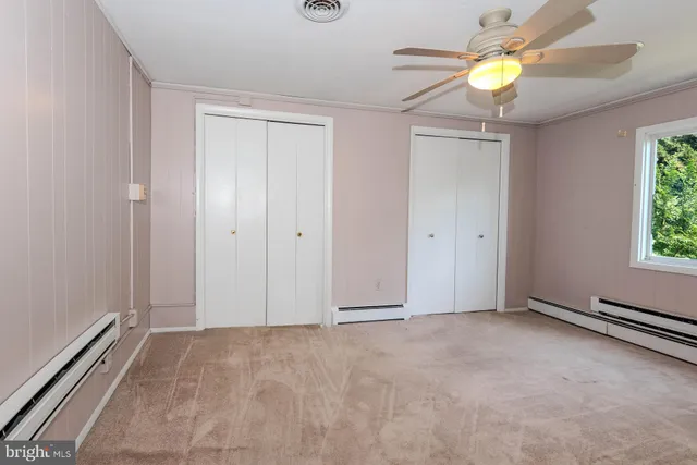 a view of a pathway of a yard