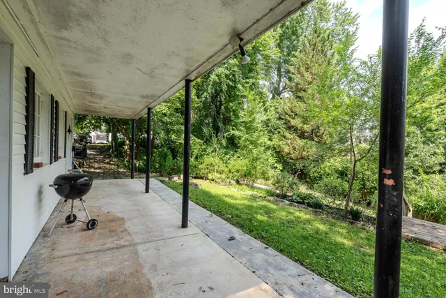 a view of a garden with a tree