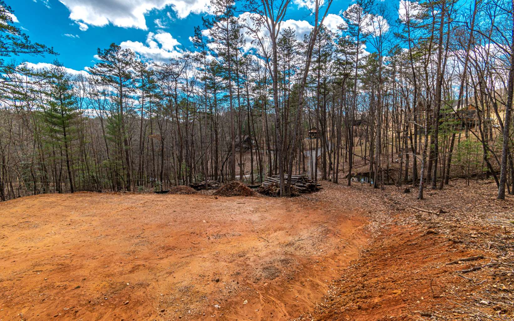 1.34 A Laurel Branch Blue Ridge, GA 30513 - Photo 11 of 36 Additional View