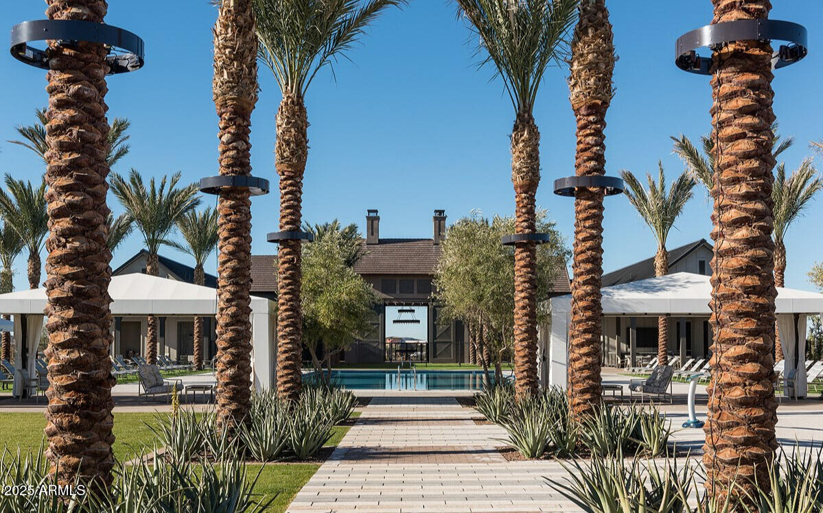 2456 West Rowel Road Phoenix, AZ 85085 - Photo 3 of 15 Pool and palm trees