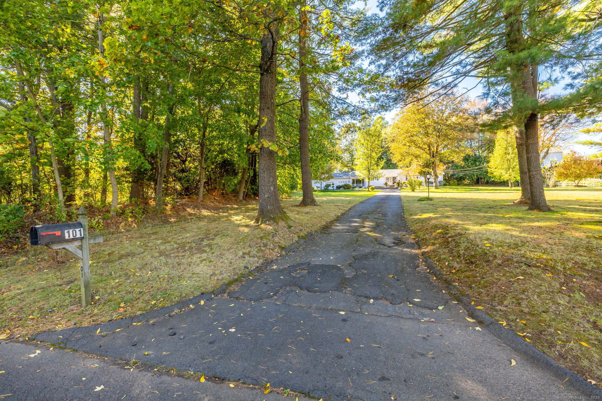 101 Collier Road Wethersfield, CT 06109 - Photo 39 of 40 a view of yard with trees