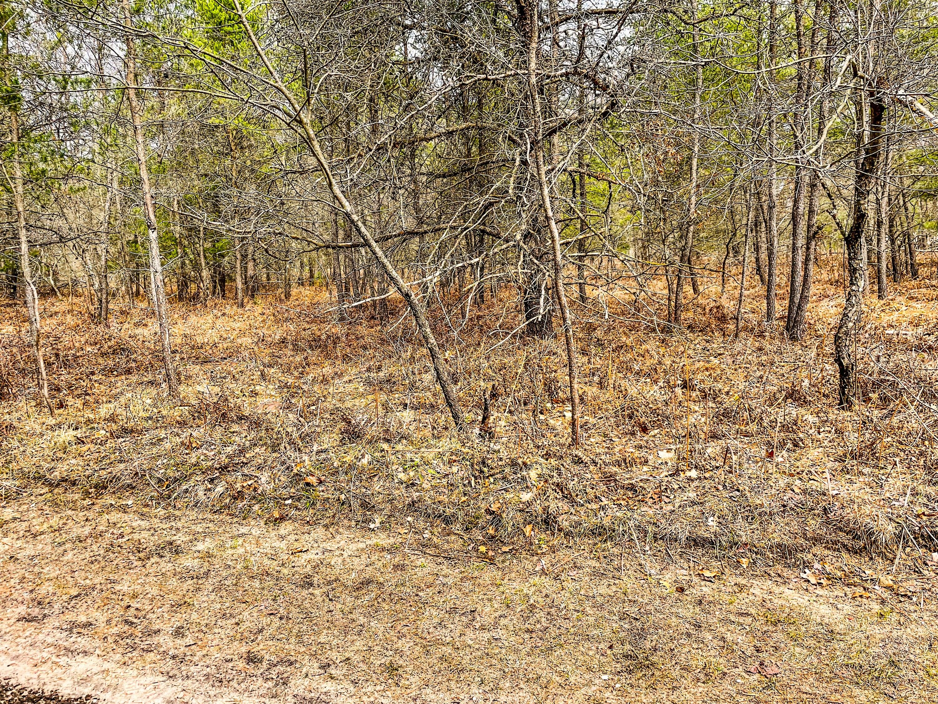 3360 South Masten Road Branch, MI 49402 - Photo 22 of 27 94071454-7484-4102-B113-659CCF9D7B86