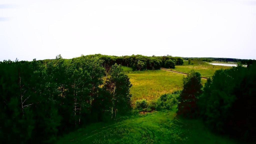 Tbd Klondyke Road Ironton, MN 56455 - Photo 11 of 13