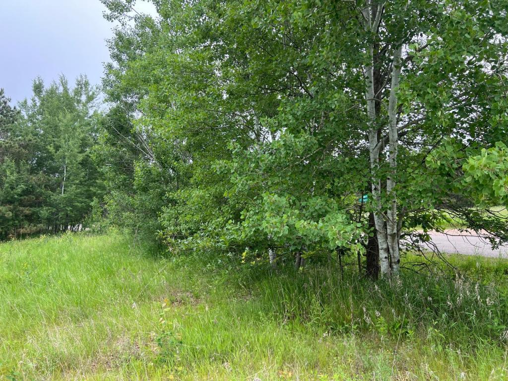 Tbd Klondyke Road Ironton, MN 56455 - Photo 5 of 13