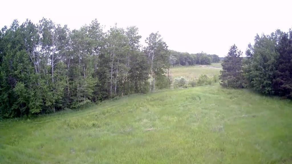 Tbd Klondyke Road Ironton, MN 56455 - Photo 6 of 13