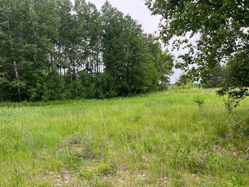 Tbd Klondyke Road Ironton, MN 56455 - Photo 8 of 13