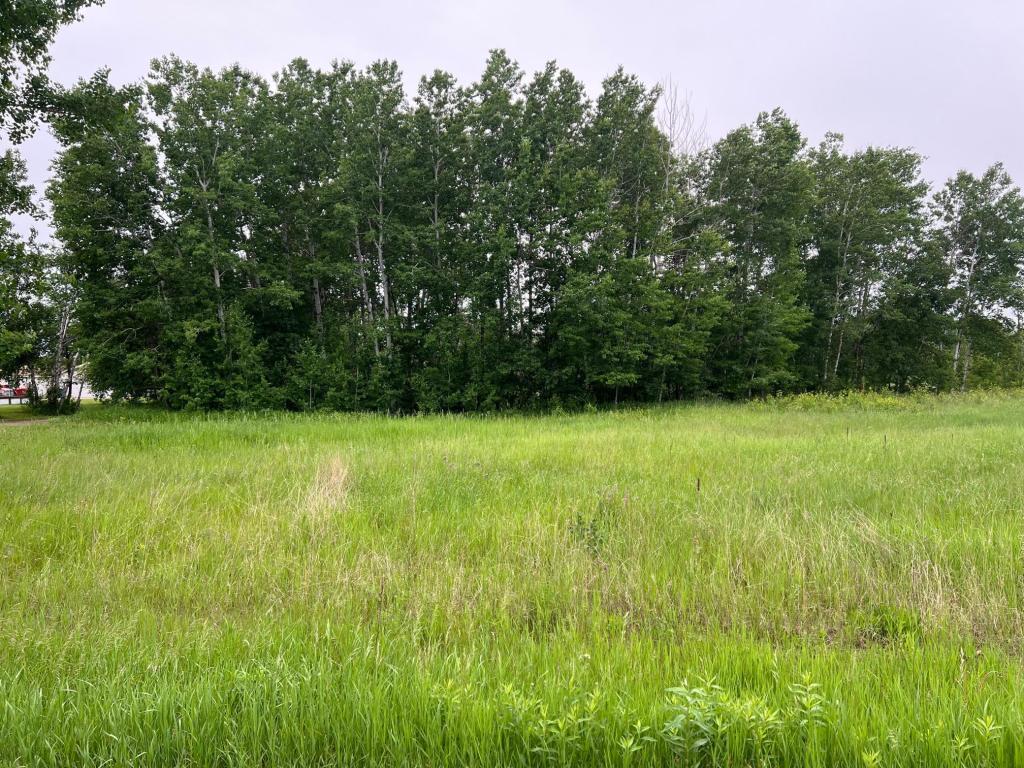 Tbd Klondyke Road Ironton, MN 56455 - Photo 9 of 13