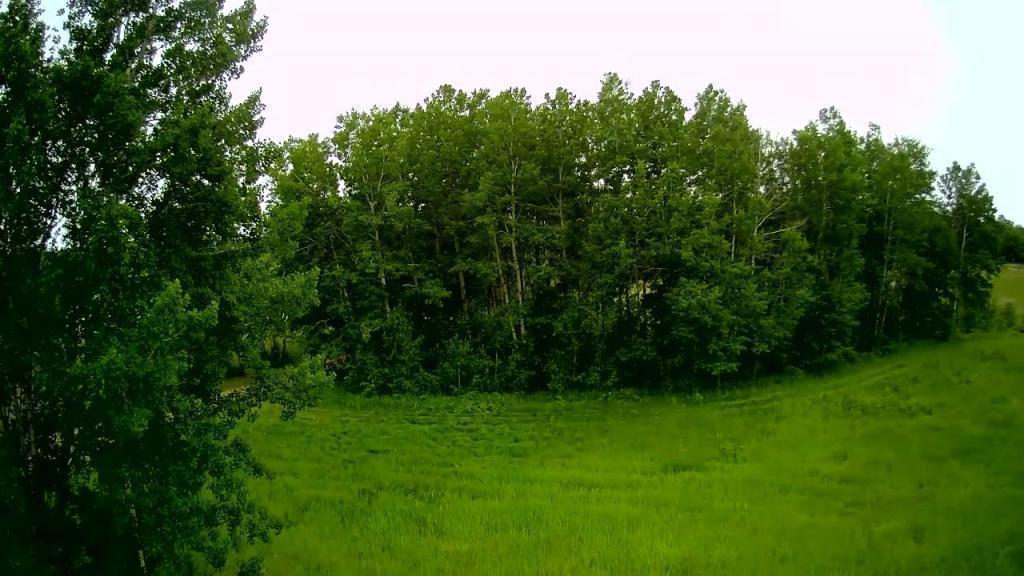 Tbd Klondyke Road Ironton, MN 56455 - Photo 10 of 13